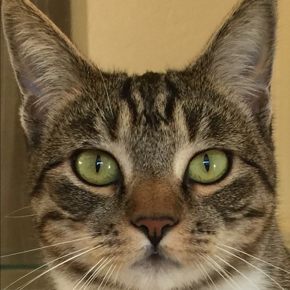 Meet your Posher, Barbara Ann - Picture 2 of 2